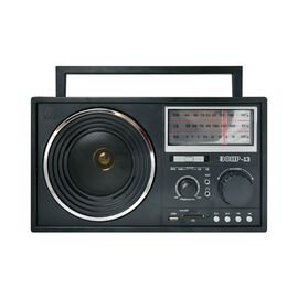  Радиоприемник Сигнал Patriot Эфир-13 черный 