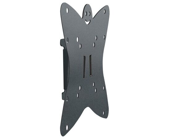  Кронштейн Holder LCDS-5049 металлик фиксированный 