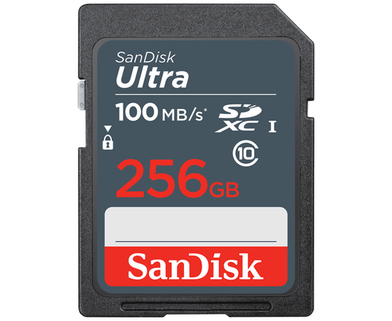  Карта памяти SanDisk 256GB SDSDUNR-256G-GN3IN 