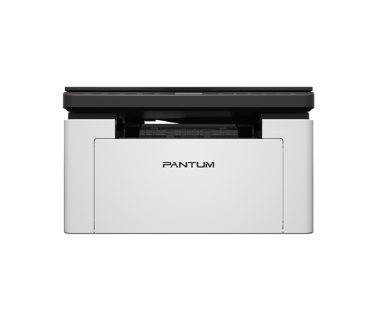  МФУ лазерное Pantum BM1800W A4 черно-белый 
